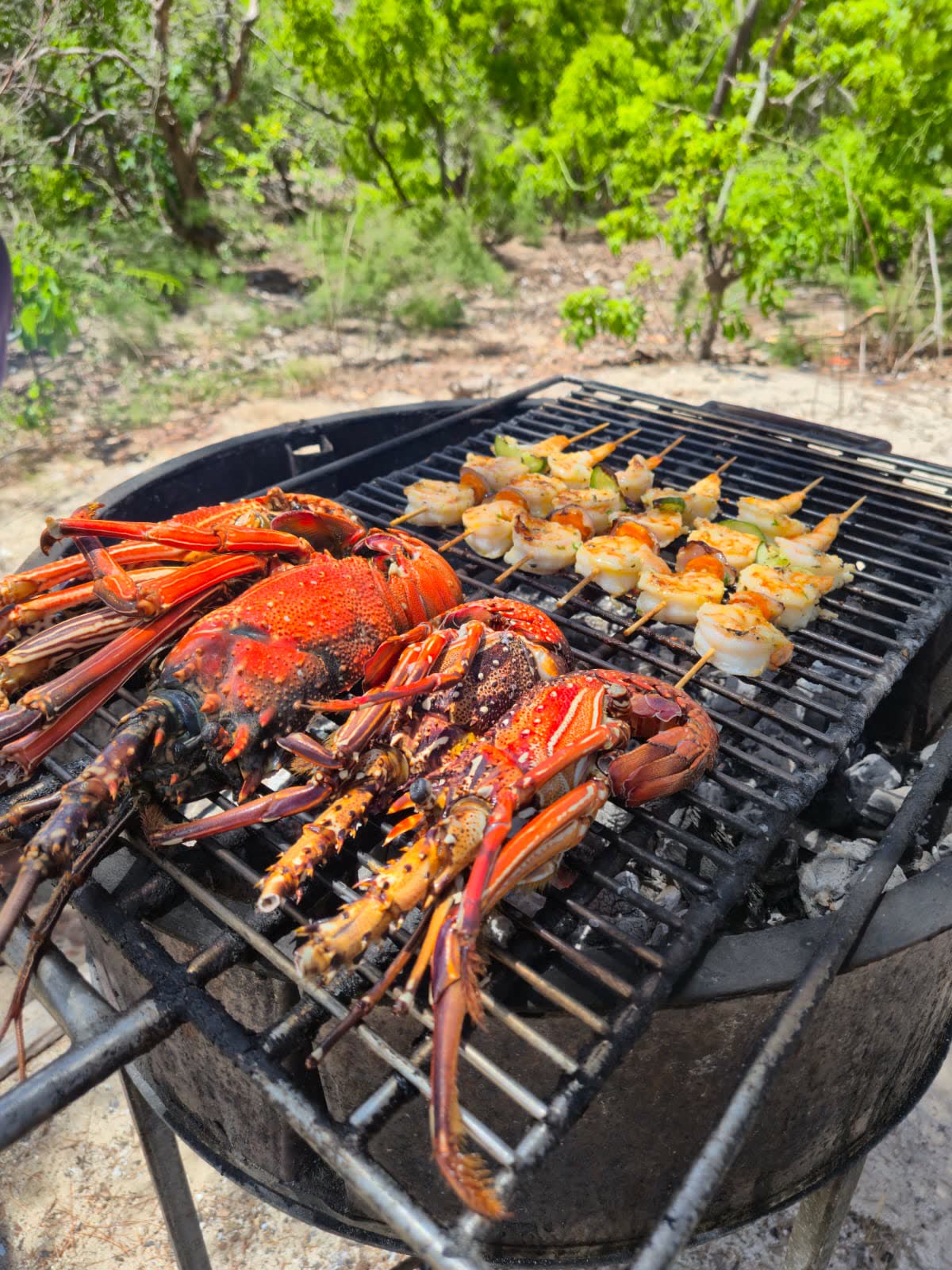 Snorkeling, BBQ & île aux Bénitiers